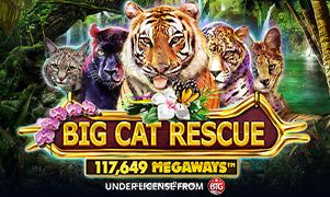 Imagem do jogo Big Cat Rescue Megaways no sssgame